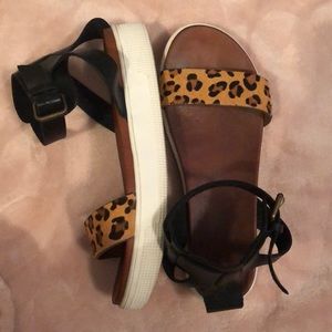 Cheetah platforms!